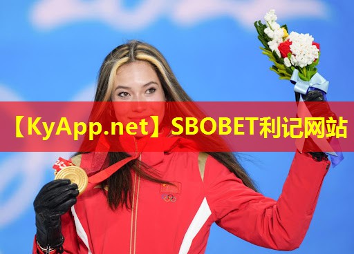 ♻️利记手机官方APP入口：标准乒乓球台多厚
