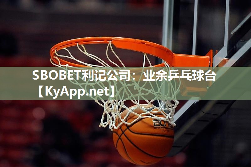 SBOBET利记公司：业余乒乓球台