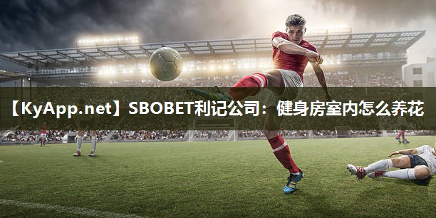 SBOBET利记公司：健身房室内怎么养花