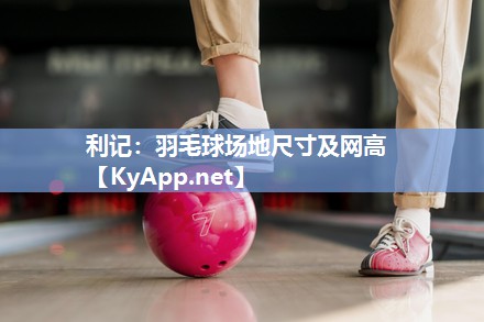利记：羽毛球场地尺寸及网高