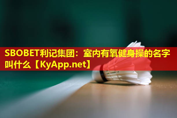 室内有氧健身操的名字叫什么 室内有氧健身操的名字叫什么