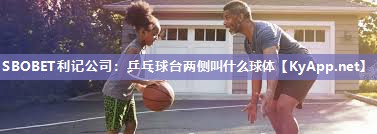 乒乓球台两侧叫什么球体 乒乓球台两侧叫什么球体