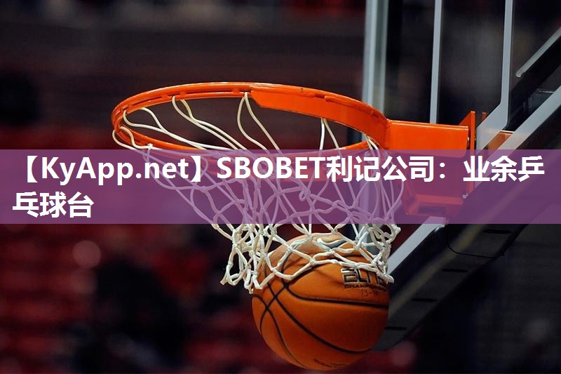 业余乒乓球台 业余乒乓球台