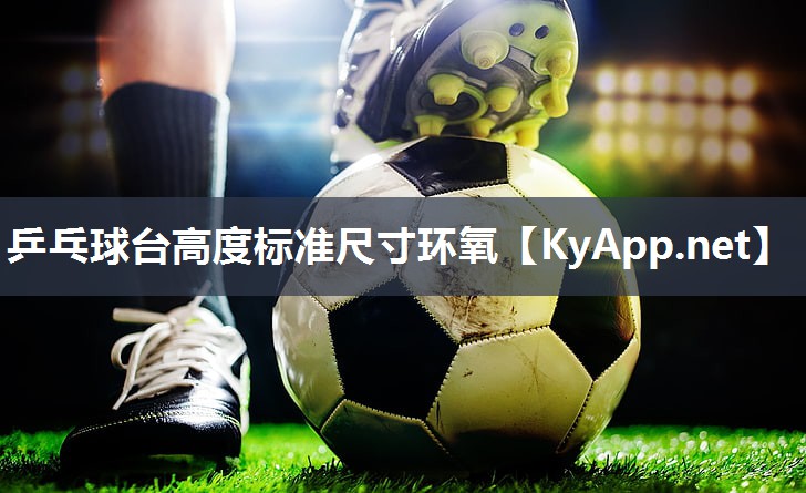 乒乓球台高度标准尺寸环氧 乒乓球台高度标准尺寸环氧
