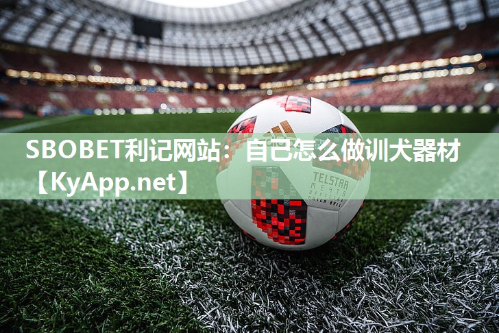 自己怎么做训犬器材 自己怎么做训犬器材