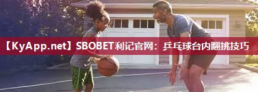乒乓球台内翻挑技巧 乒乓球台内翻挑技巧