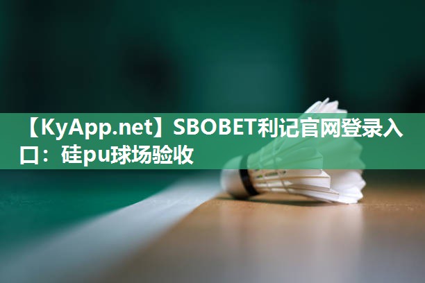 硅pu球场验收 硅pu球场验收