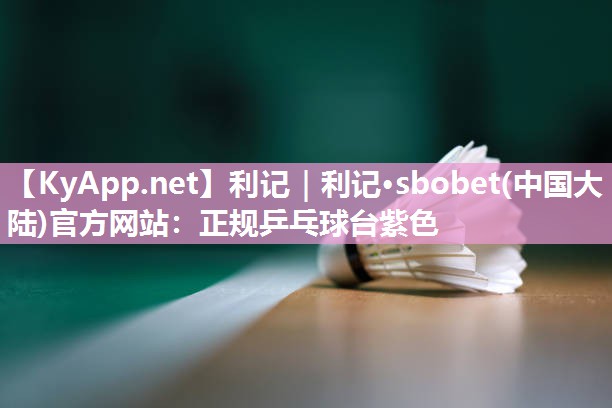 正规乒乓球台紫色 正规乒乓球台紫色