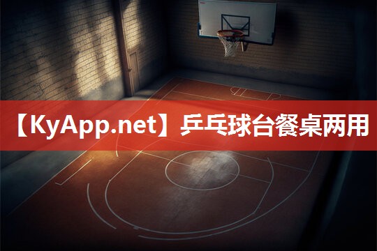 乒乓球台餐桌两用 乒乓球台餐桌两用